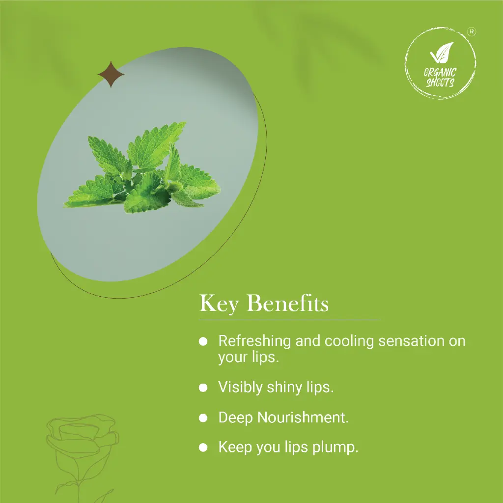 PepermintLipbalmKeyBenefits@3x-8.webp