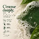 Organic shoots Herbal Soap6.2.webp